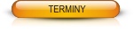 TERMINY